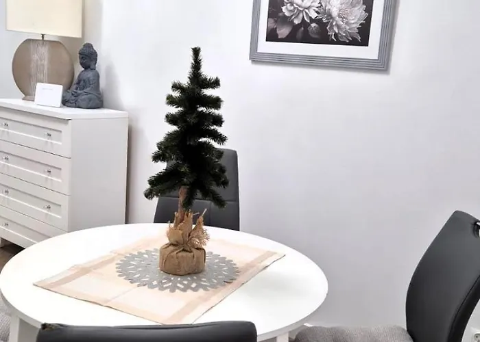 Apartament Jaracza 28 Nr 4